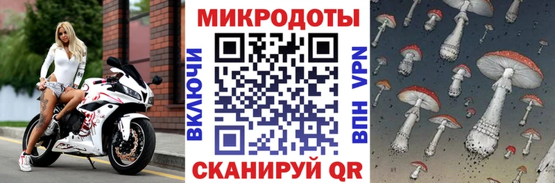 Псилоцибиновые грибы Psilocybe Кропоткин